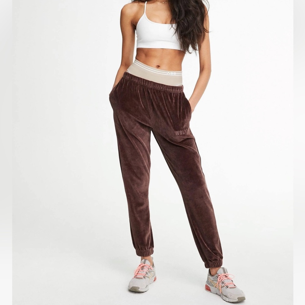 Bandier WSLY Ecosoft Velour Joggers